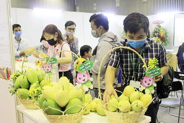 Xoài tỉnh Đồng Tháp đã xuất khẩu vào thị trường châu Âu được giới thiệu tại Triển lãm và hội nghị quốc tế lần thứ 3 về công nghệ sản xuất và chế biến rau, hoa, quả tại Việt Nam - HortEx Vietnam 2020. Ảnh: B.Nguyên