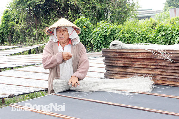 Ông Vũ Văn Đại, thợ làm miến lâu năm ở P.Tân Biên thu miến đã phơi khô. Ảnh: Ban Mai