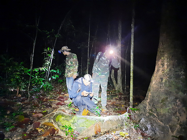  Một nhóm đi “săn” ảnh bò sát lưỡng cư vào ban đêm ở Khu Bảo tồn thiên nhiên - văn hóa Đồng Nai Ảnh: B.MAI