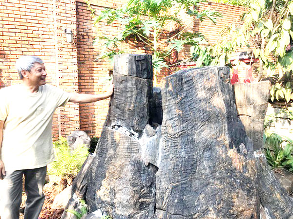 Ông Hoàng Thành giới thiệu gốc của cây thông hóa thạch dài nhất Việt Nam