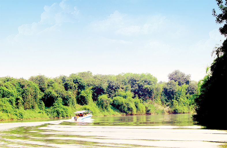 Du lịch trên sông Đồng Nai và thưởng thức đặc sản sông Đồng Nai ngày càng được nhiều người lựa chọn