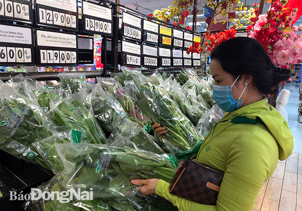 Người dân mua rau xanh tại siêu thị Co.opmart thời điểm trước Tết Nguyên đán (Ảnh minh họa)