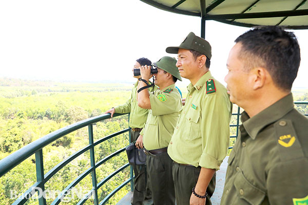 Lực lượng kiểm lâm Suối Kốp quan sát  trên chòi canh gác rừng 