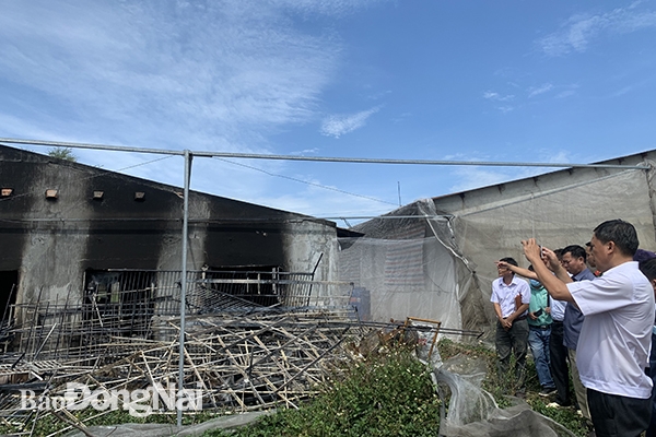 Đoàn công tác khảo sát khu dãy chuồng bị cháy tại trại chăn nuôi của ông Trần Hữu Quyền ở xã Lộ 25, H.Thống Nhất.
