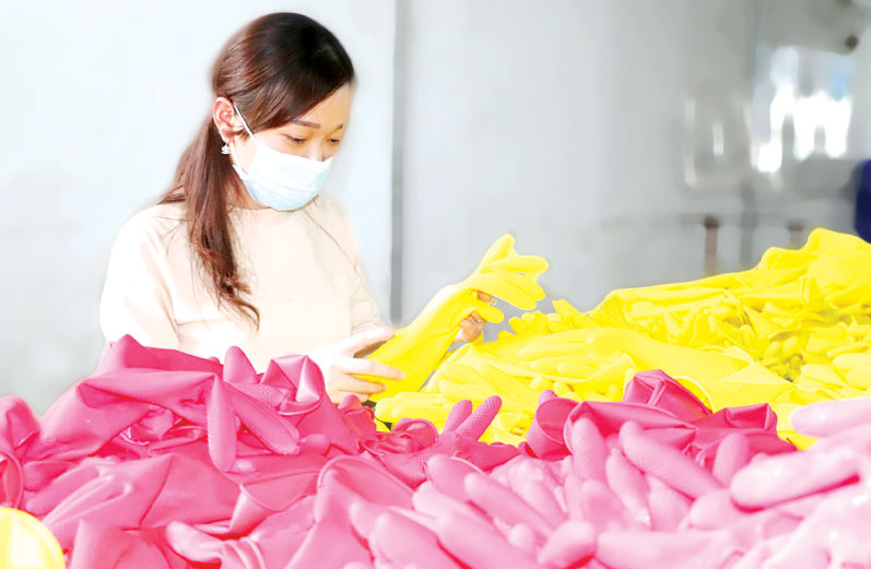 Công ty TNHH Nam Long (H.Long Thành) sản xuất găng tay cao su xuất khẩu và tiêu thụ ở thị trường trong nước  Ảnh: HƯƠNG GIANG