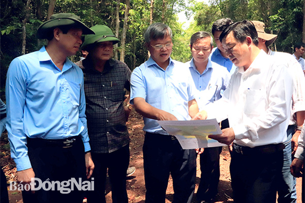 Giữ rừng tự nhiên tốt là một trong những yếu tố kinh tế tuần hoàn khuyến khích. Trong ảnh: Chủ tịch UBND tỉnh Cao Tiến Dũng (thứ 3 từ trái) đi kiểm tra rừng tự nhiên ở H.Vĩnh Cửu