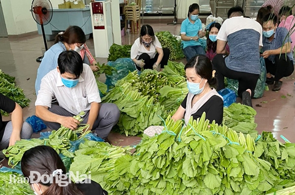 Đa dạng các mặt hàng rau, củ đã được tập kết về trụ sở Sở NN-PTNT tỉnh sẵn sàng cung cấp cho người dân trên địa bàn TP.Biên Hòa vào sáng ngày 14-7. Ảnh: N.N