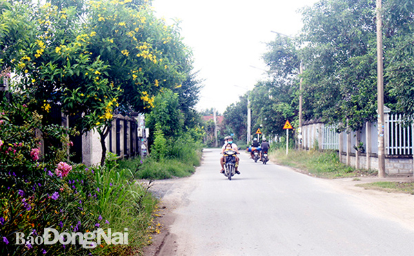 Một tuyến đường nông thôn mới tại ấp 6, xã Thạnh Phú (H.Vĩnh Cửu). Ảnh: L.Na