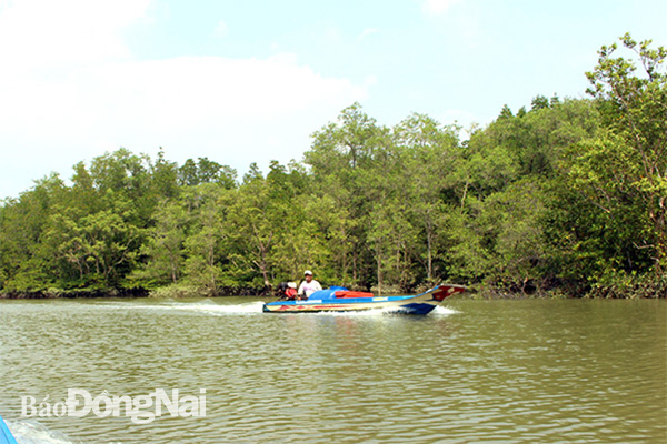  Rừng ngập mặn Long Thành - Nhơn Trạch, một trong 8 khu vực đa dạng sinh học tập trung