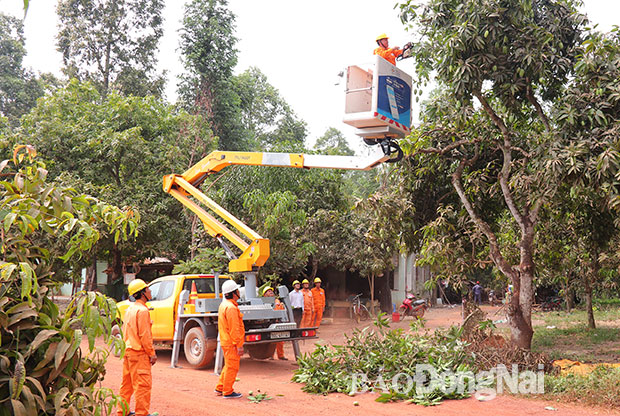 Công nhân Điện lực Trị An kiểm tra, bảo trì lưới điện (ảnh minh họa) 