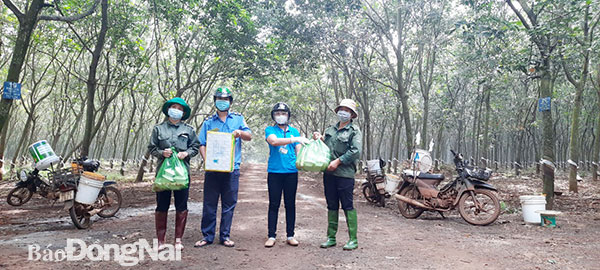 Các Công đoàn cơ sở thuộc Công đoàn Tổng công ty Cao su Đồng Nai hỗ trợ bữa ăn giữa ca và nước uống cho công nhân cạo mủ tại vườn cây