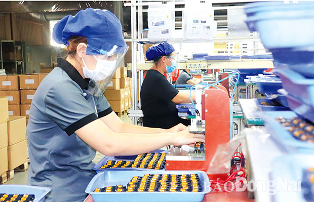 Công ty TNHH Friwo Việt Nam (100% vốn của Đức) ở Khu công nghiệp Amata, TP.Biên Hòa sản xuất các linh kiện máy móc xuất khẩu mong muốn khôi phục lại sản xuất 100% để đáp ứng các đơn hàng xuất khẩu. Ảnh: Hương Giang