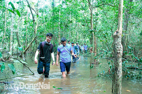 Du khách khám phá du lịch rừng tại Khu Bảo tồn thiên nhiên - văn hóa Đồng Nai (ảnh tư liệu). Ảnh: n.liên