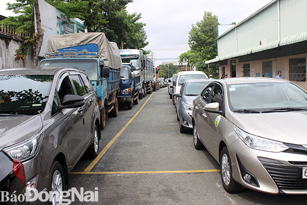 Tại Trung tâm Đăng kiểm xe cơ giới Đồng Nai 6001S (TP.Biên Hòa), xe ô tô tập trung hàng dài chờ đến lượt đăng kiểm.