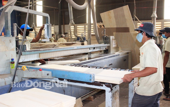 Người lao động một công ty sản xuất gỗ thực hiện nghiêm việc đeo khẩu trang trong khi làm việc