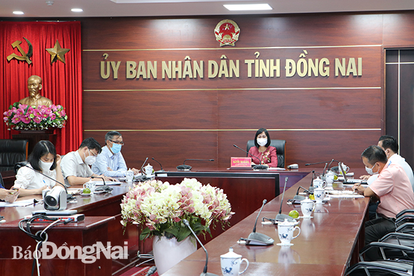 Phó chủ tịch UBND tỉnh Nguyễn Thị Hoàng và các sở, ngành tham dự tại điểm cầu Đồng Nai