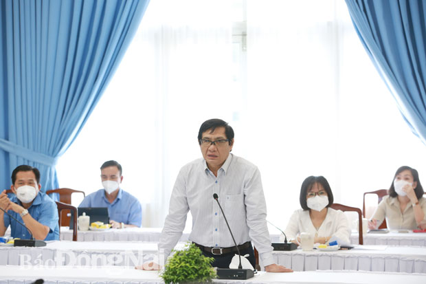 Phó chủ tịch UBND tỉnh Nguyễn Sơn Hùng phát biểu tại cuộc họp. Ảnh: Huy Anh