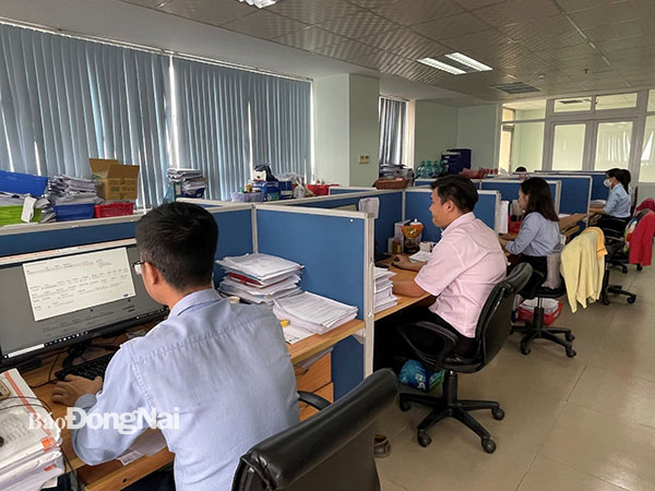 Cán bộ phòng Quản lý thu, BHXH Đồng Nai xử lý nghiệp vụ để giải quyết hồ sơ theo Nghị quyết số 116/NQ-CP. Ảnh: Hạnh Dung