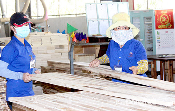 Công ty TNHH Hố Nai (TP.Biên Hòa) chuyên sản xuất sản phẩm gỗ xuất khẩu vào Hoa Kỳ nên rất chú trọng đến nguồn gốc, xuất xứ. Ảnh: Khánh Minh