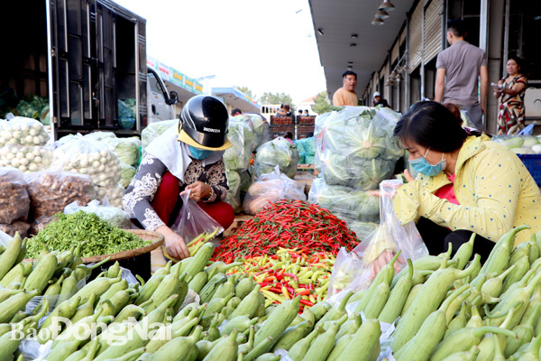 Nông sản của nông dân được tập kết tại chợ đầu mối nông sản thực phẩm Dầu Giây (H.Thống Nhất)