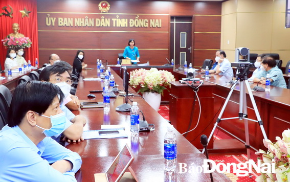 Phó chủ tịch UBND tỉnh Nguyễn Thị Hoàng, phát biểu tại hội nghị trực tuyến.