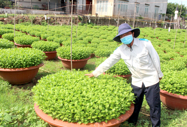 Ông Đỗ Minh Hưng, chủ Cơ sở hoa Hiệp Hưng (H.Thống Nhất) giới thiệu vườn hoa quy mô 6ha, 50 ngàn chậu