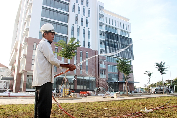 Trong khuôn viên Trung tâm Hành chính công TP.Biên Hòa, công nhân chăm sóc hệ thống cây xanh trước khi tòa nhà đi vào hoạt động