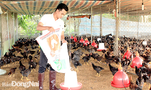 Gương sáng thanh niên nông thôn