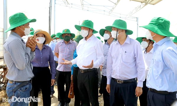 Bí thư Tỉnh ủy Nguyễn Hồng Lĩnh (thứ 3 từ phải sang) cùng đoàn công tác của tỉnh và huyện tham quan mô hình sản xuất nông nghiệp ứng dụng công nghệ cao của Công ty TNHH Trang Trại Việt ở xã Xuân Trường. Ảnh: Huy Anh