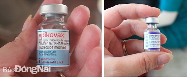 2 loại vaccine Pfizer và Moderna được phê duyệt để tiêm cho trẻ từ 5 đến dưới 12 tuổi.