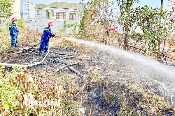 Công an TP.Biên Hòa dập tắt đám cháy cỏ, tràm hàng ngàn mét vuông tại P.Thống Nhất vào ngày 28-3