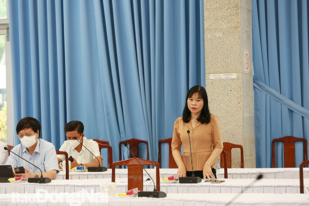 Giám đốc Sở LĐ-TBXH Nguyễn Thị Thu Hiền báo cáo tại cuộc họp. Ảnh: Huy Anh