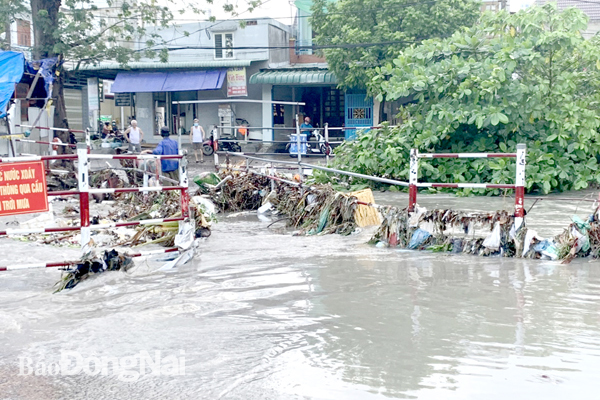 Khu vực cầu Bà Lúa (P.Long Bình Tân, TP.Biên Hòa) sau cơn mưa lớn, nước dâng cao nhấn chìm cả cây cầu dân sinh