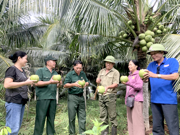 Ông Nguyễn Văn Vũ (giữa) tự tay hái dừa trên cây xuống mời khách uống