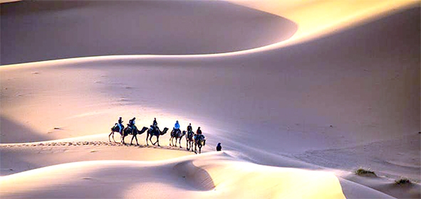 Hành trình đến sa mạc Sahara.  Nguồn: lonelyplanet.com