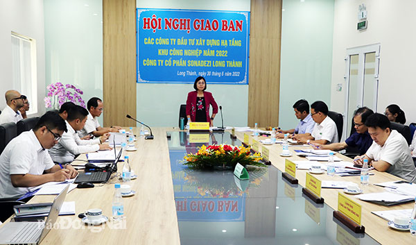 Phó chủ tịch UBND tỉnh Nguyễn Thị Hoàng phát biểu chỉ đạo tại cuộc họp. Ảnh: Hương Giang