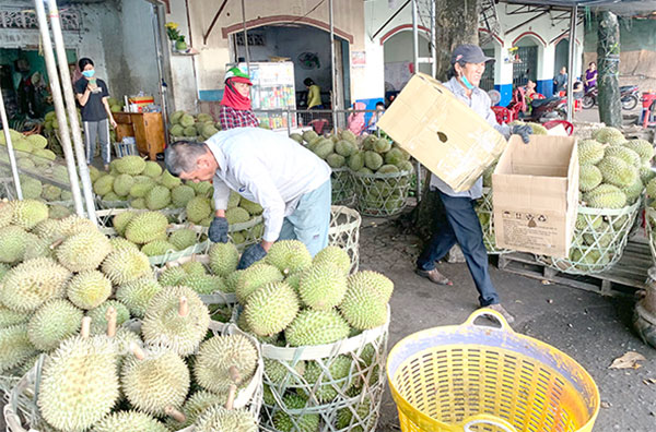 Điểm tập kết trái cây gần khu vực chợ Long Khánh. Ảnh: Bình Nguyên
