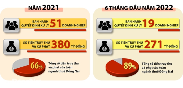 Kết quả thanh tra, kiểm tra tại các doanh nghiệp có giao dịch liên kết trong năm 2021 và 6 tháng đầu năm 2022. (Thông tin: Ngọc Liên - Đồ họa: Hải Quân)