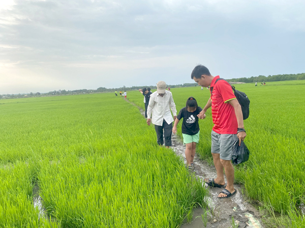 Du khách tham quan cánh đồng lúa của nông dân tại xã Phú Điền, H.Tân Phú. Ảnh: T.Mộc