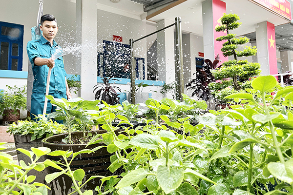 Mỗi ngày, sau khi kết thúc giờ làm việc buổi chiều, lực lượng dân quân P.Hóa An (TP.Biên Hòa) lại tranh thủ chăm sóc cho vườn rau xanh, vườn bắp ngay trong khuôn viên UBND phường
