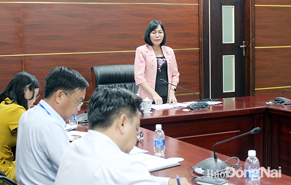 Phó chủ tịch UBND tỉnh Nguyễn Thị Hoàng phát biểu kết luận tại buổi làm việc