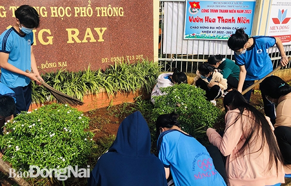  Đoàn viên học sinh Trường THPT Sông Ray (H.Cẩm Mỹ) ra quân dọn vệ sinh quanh khuôn viên trường (Ảnh: ĐVCC)