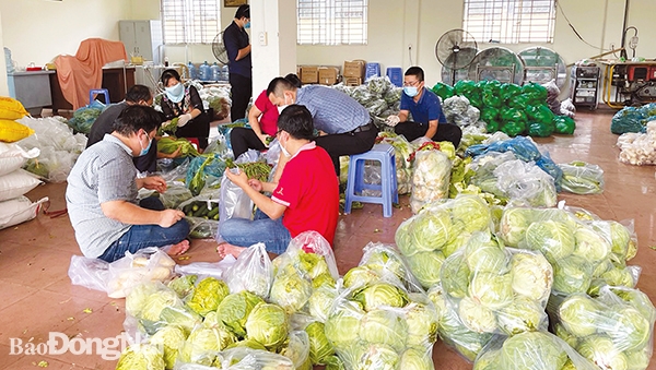 Chương trình Nông nghiệp Đồng Nai đoàn kết, chia sẻ phòng chống dịch Covid-19 đã hỗ trợ kịp thời về thực phẩm tươi sống cho người dân trong vùng phong tỏa phòng dịch giai đoạn dịch bệnh Covid-19 bùng phát. Ảnh: B.Nguyên