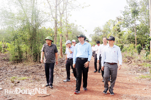 Phó chủ tịch UBND tỉnh Võ Văn Phi (giữa) đi kiểm tra đất công tại H.Vĩnh Cửu