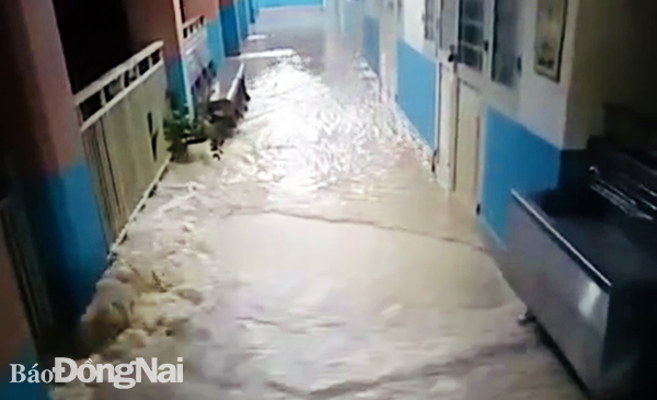 Nước mưa tràn vào các lớp học và xuống sân của Trường tiểu học Nguyễn Chí Thanh (TP.Biên Hòa) sau trận mưa lớn làm đoạn tường rào bị đổ