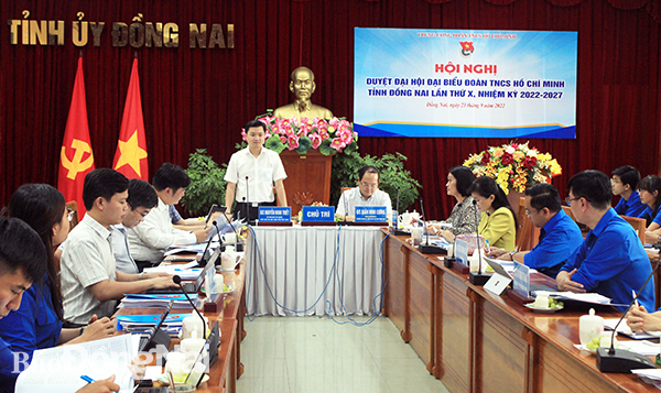 Bí thư Ban chấp hành Trung ương Đoàn, Chủ tịch Hội Sinh viên Việt Nam Nguyễn Minh Triết trao đổi tại hội nghị
