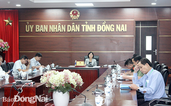 Phó chủ tịch UBND tỉnh Nguyễn Thị Hoàng chủ trì hội nghị tại điểm cầu Đồng Nai