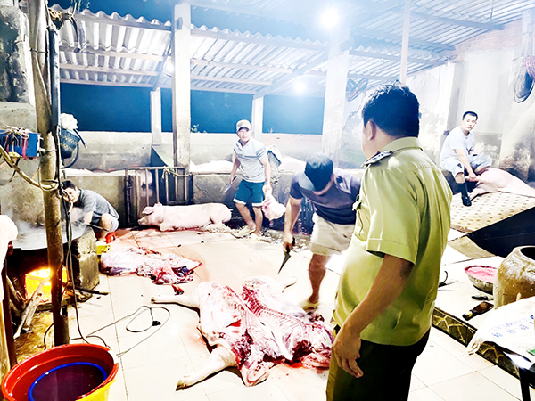 Lực lượng chức năng kiểm tra cơ sở giết mổ không đảm bảo an toàn vệ sinh thực phẩm tại xã Đại Phước, H.Nhơn Trạch)