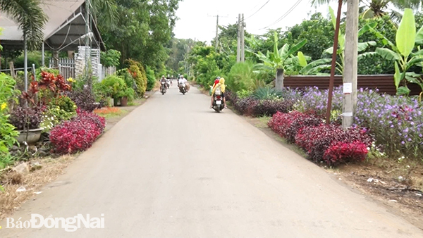 Xã Gia Tân 2 ngày càng có nhiều tuyến đường “Sáng - xanh - sạch - đẹp” nhờ xây dựng nông thôn mới kiểu mẫu