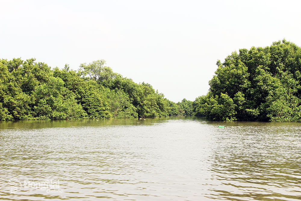 Ven rừng ngập mặn H.Nhơn Trạch là nơi có nhiều đặc sản nước lợ. Ảnh: B.Mai
